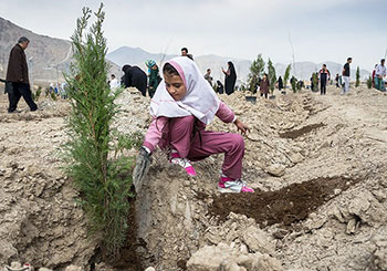 عضو کمیسیون فرهنگی شورای شهر کرج: توسعه فضای سبز سهل ترین راهکار برای کاهش آلودگی هواست